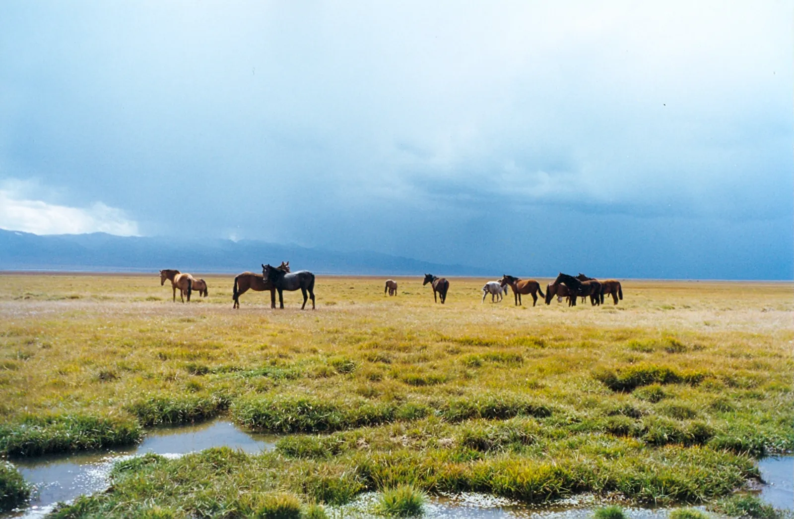 Song-Kul, a high mountain lake surrounded by summer pastures