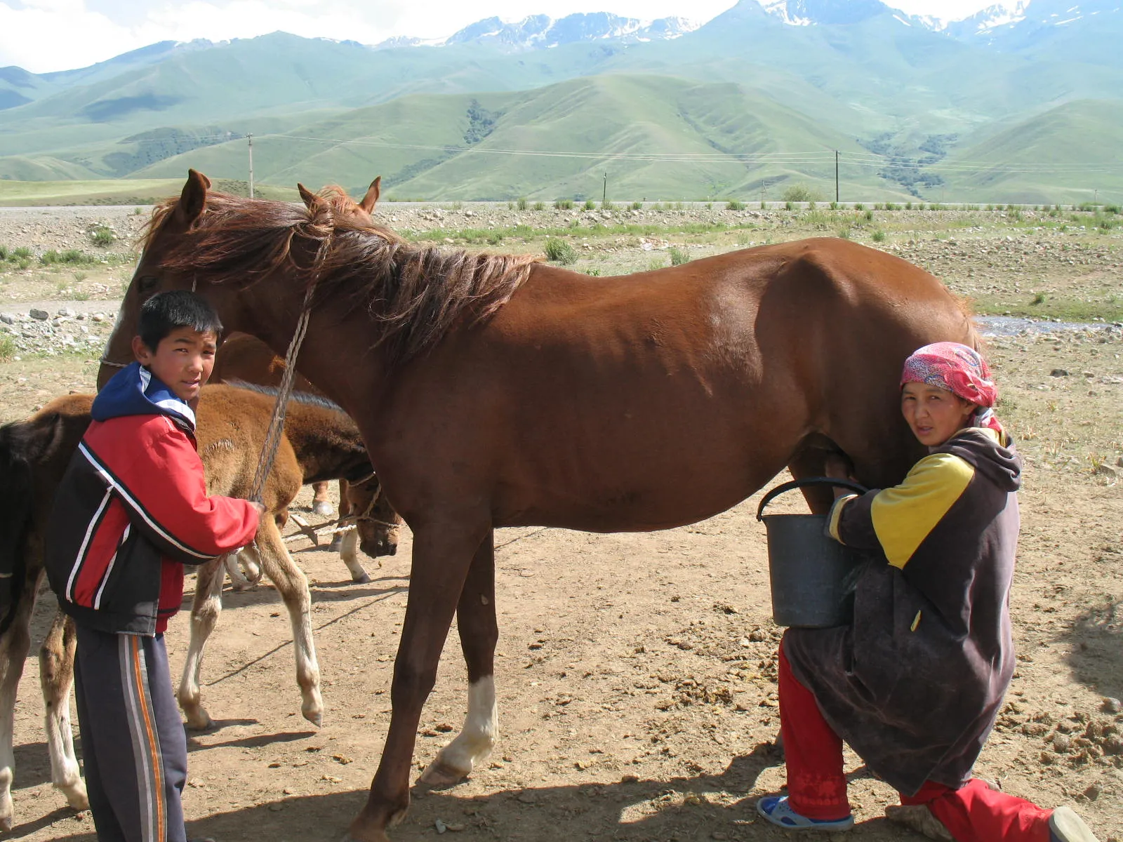 The Suusamyr valley in the Kyrgyz mountains