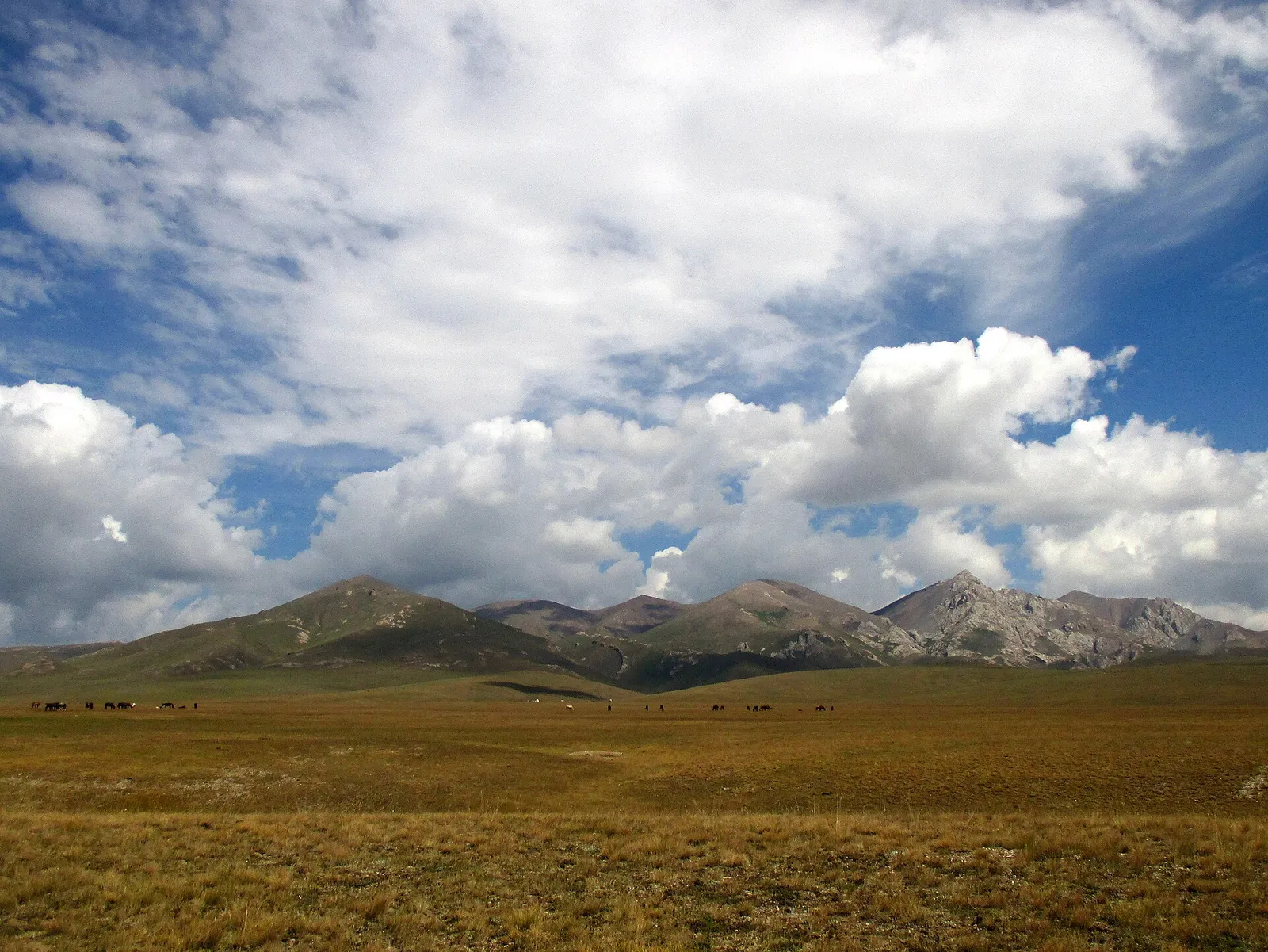 A mountain valley in the Kyrgyz Tian Shan